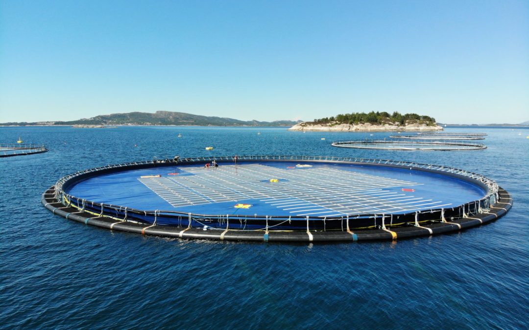 The Institute for Energy Technology quantifies Ocean Sun’s performance gain