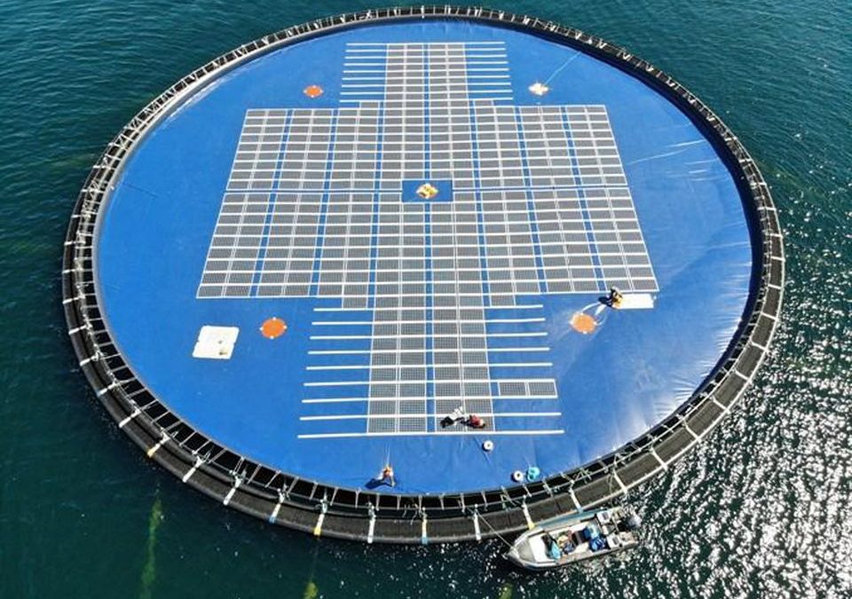 Floating Solar Opens New Markets For Renewable Energy (FORBES)