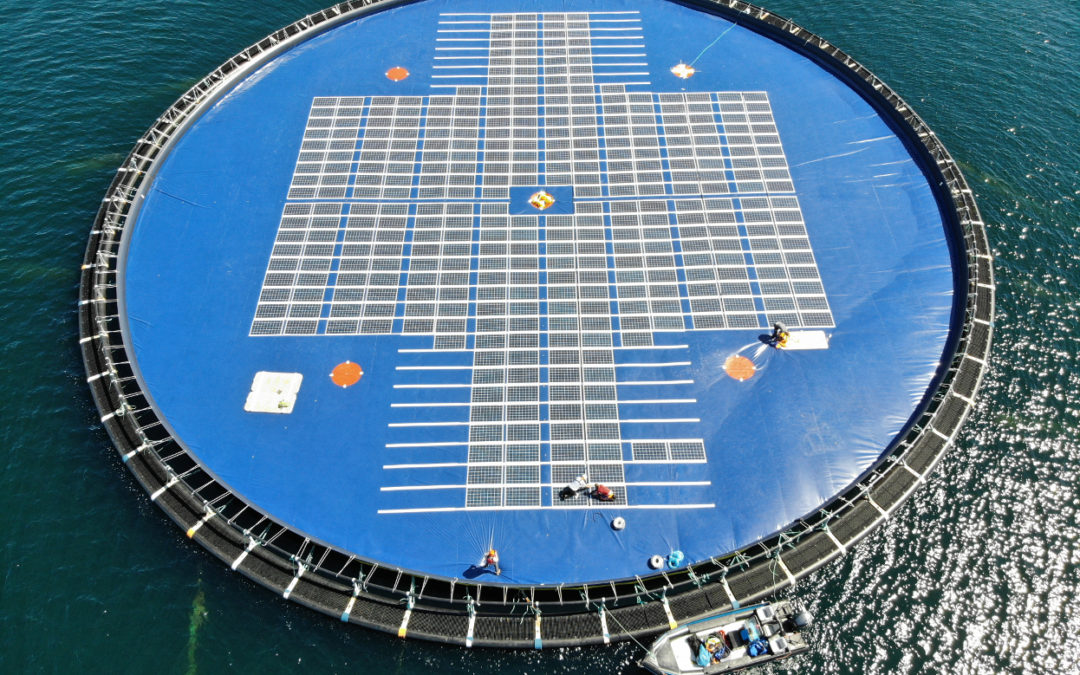 Ocean Sun and Inseanergy enter a partnership to supply the aquaculture industry with green energy