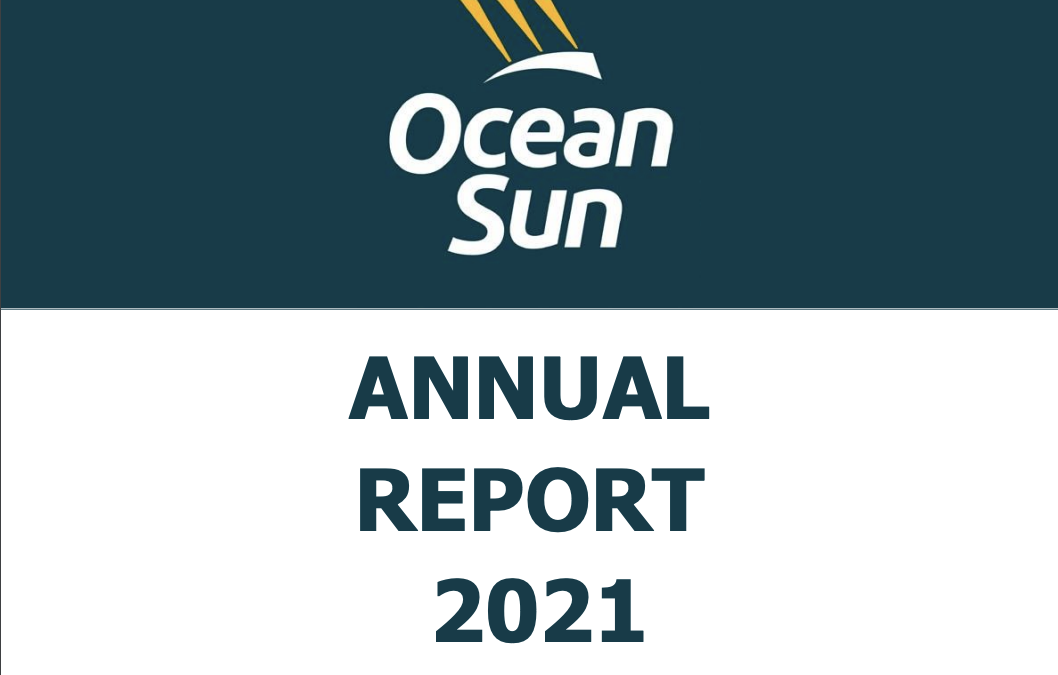 Annual report 2021
