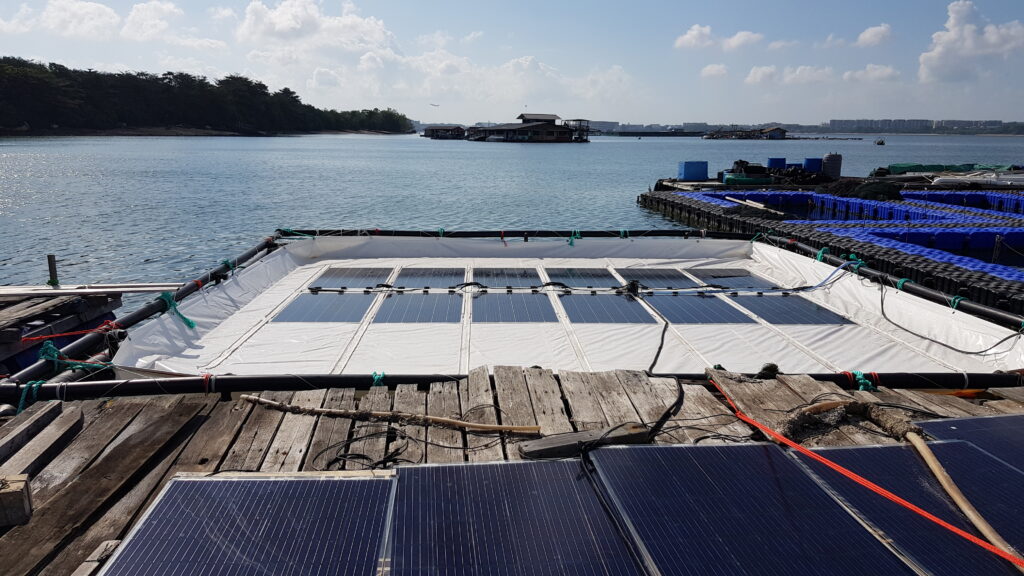 The first test of Ocean Sun technology in tropical waters.