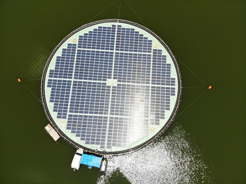 Floating solar in typhoon areas, and the first to be installed in the Philippines.