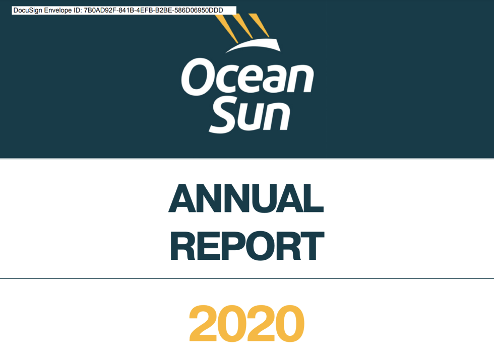 Annual Report 2020