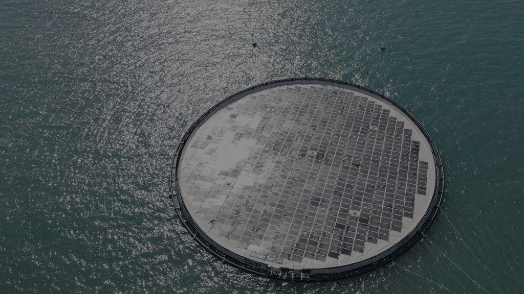 Ocean Sun will lead the La Palma demonstrator in the Isla Bonita project